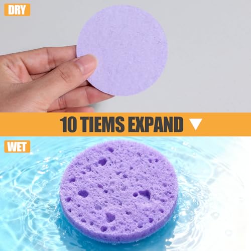Compressed Facial Sponges BS-MALL 80 Count,Reusable Face Cleansing Pads,Gentle Exfoliating Sponges for Makeup Removal, Deep Cleansing, Dead Skin Removal,Travel-Friendly Spa Skincare Sponges