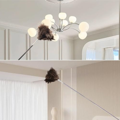 Feather Duster, Ostrich Feather Duster Replacement Head, Reusable Ostrich Feather Duster, Brown (Replacement Head Only) - size: 10"