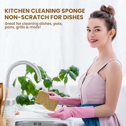 Natural Kitchen Sponge –12-Pack Biodegradable Sponges for Dishes –Compostable Dish Washing Scrubbers – Eco Friendly Non-Scratch Cellulose & Coconut Husk Scrubber Sponges for Cleaning - size: Pack of 12