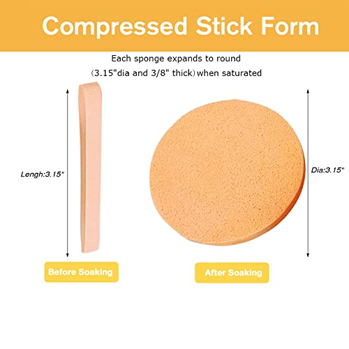 Facial Sponge Compressed,60 Pcs PVA Professional Makeup Removal Wash Round Face Sponges Spa Pads Exfoliating Cleansing for Women,Orange - color: Orange