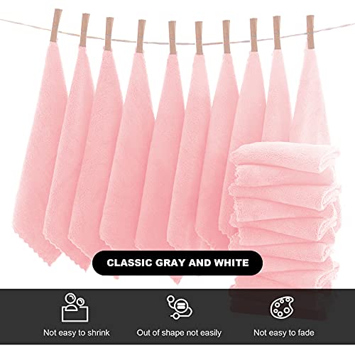 MOONQUEEN Microfiber Facial Cloths Fast Drying Washcloth 12 Pack - Premium Soft Makeup Remover Cloths - Pink - color: Pink, size: 12x12 Inch (Pack of 12)