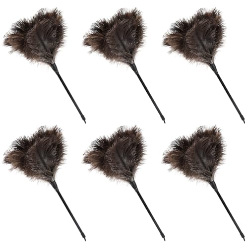 Natural Ostrich Feather Duster 14.9 inch Fluffy Mini Dusters with Plastic Handheld for Cleaning Car Keyboard Office 6 PCS - color: Natural-a-6pcs