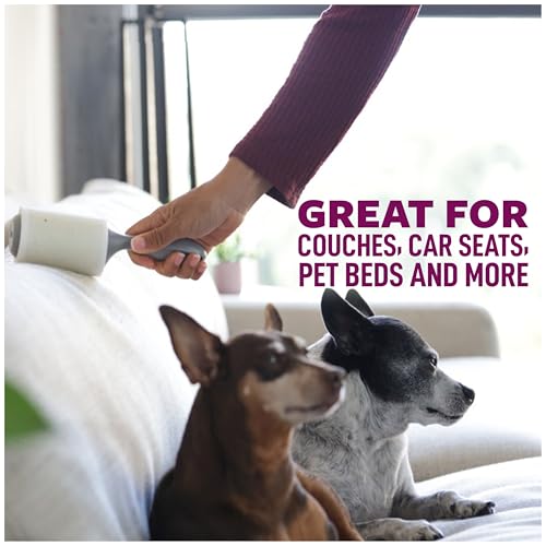 Scotch-Brite Lint Roller, Pet Hair Pickup, Extra Sticky, Large | For Fur and Fluff | For Couches and Clothes | Easy-Tear Adhesive | 60 Sheets, Pack of 4 - size: 1 Roller (Pack of 4)