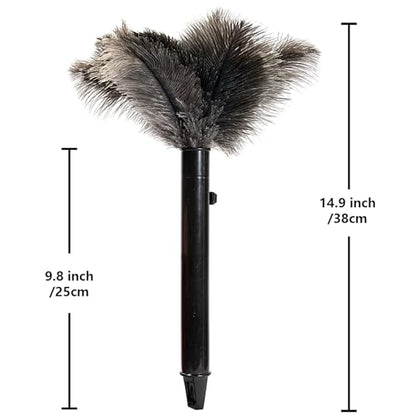 Retractable Ostrich Feather Duster for Cleaning, Fluffy and Natural Feather Duster with Retractable Handle， Reusable Eco-Friendly Handheld Cleaning Supplies (15 inch) - color: Model-15”-brown-2 Pieces