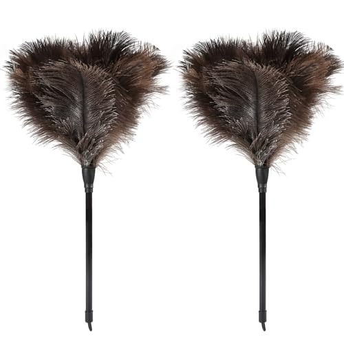 Ostrich Feather Duster-14.9 Inch Mini Natural Feathers Dusters with Plastic Handle Reusable Handheld for Cleaning Supplies Home Car Office(2pcs) - color: Natural-14.9in-styleb-2pcs