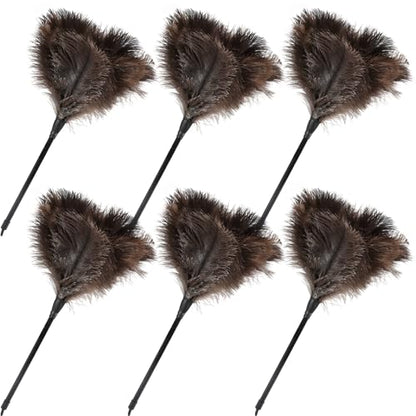 Ostrich Feather Duster-14.9 Inch Mini Natural Feathers Dusters with Plastic Handle Reusable Handheld for Cleaning Supplies Home Car Office(6pcs) - color: Natural-14.9in-styleb-6pcs