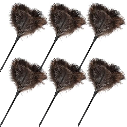 Ostrich Feather Duster-14.9 Inch Mini Natural Feathers Dusters with Plastic Handle Reusable Handheld for Cleaning Supplies Home Car Office(6pcs) - color: Natural-14.9in-styleb-6pcs