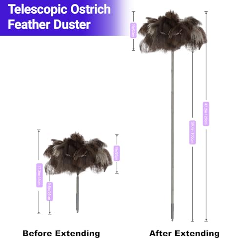 NCEDN Genuine Ostrich Feather Duster 40 Inches - Extendable Stainless Steel Handle, 8 Inches Long Thick Feathers, Telescopic Duster for Ceiling Fans, Blinds, Furniture, Car, Washable - color: Natural