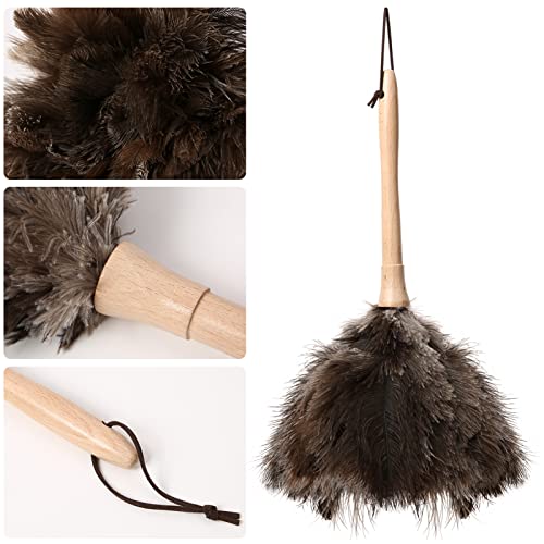 THARAHT 2PCS Ostrich Feather Duster 16 Inch Fluffy Natural with Wood Handle Reusable Washable for Cleaning Keyboard,Home,Car,Office Ostrich Feather Duster - color: Model (A)-2pcs, size: 16inch