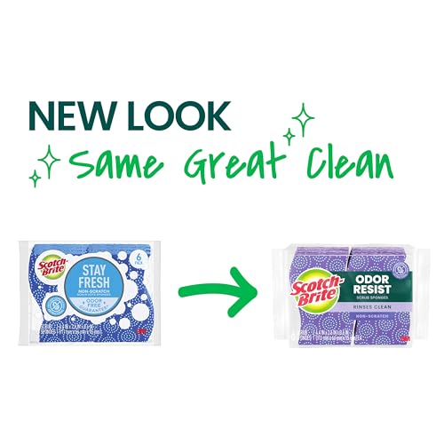 Scotch-Brite Odor Resist Non-Scratch Scrub Sponge, Dishwasher-Safe Kitchen Sponges that Resist Bacterial Odors, Multipurpose Dish Sponge for Gentle Cleaning, 6 Dish Sponges - size: 6 Pack