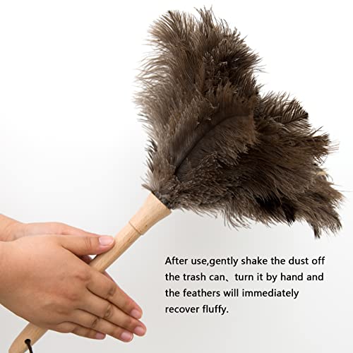 THARAHT 2PCS Ostrich Feather Duster 16 Inch Fluffy Natural with Wood Handle Reusable Washable for Cleaning Keyboard,Home,Car,Office Ostrich Feather Duster - color: Model (A)-2pcs, size: 16inch