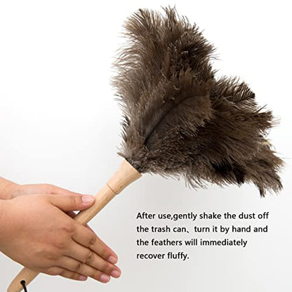 THARAHT 1PCS Ostrich Feather Duster Fluffy Natural with Wood Handle Reusable Washable for Cleaning Keyboard,Home,Car,Office Ostrich Feather Duster,16 Inch - color: Model (A)-1pcs, size: 16inch
