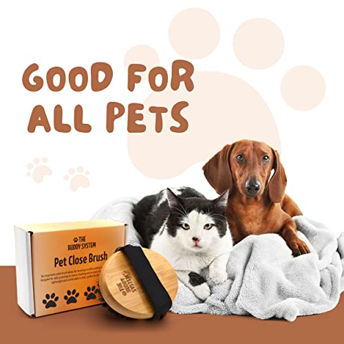 The Buddy System Pet Close Brush, Soft Touch Oval Palm Brush - Bamboo Massage Handheld with Soft Boar Bristles and Elastic Band for Dogs and Cats - color: Boar Bristle
