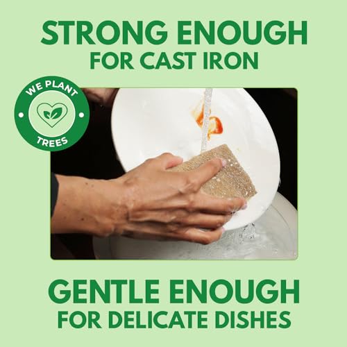 10 Pack Biodegradable Natural Kitchen Sponge - Compostable Cellulose and Coconut Walnut Scrubber Sponge - Eco Friendly Sponges for Dishes - size: 10 Pack
