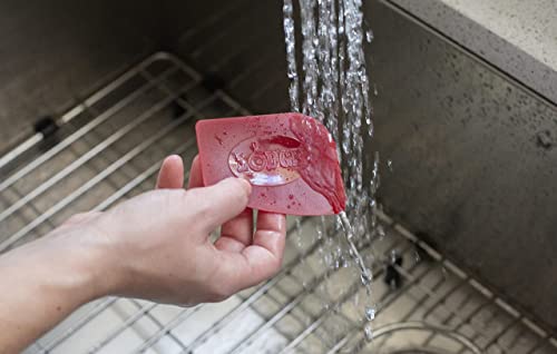 Lodge Pan Scrapers - Cast Iron Cookware Cleaning Tool for Quick & Easy Cleanup - Durable Polycarbonate Scrapers for Skillets & Griddles- 2 Pack - Red/Black | bike-oils
