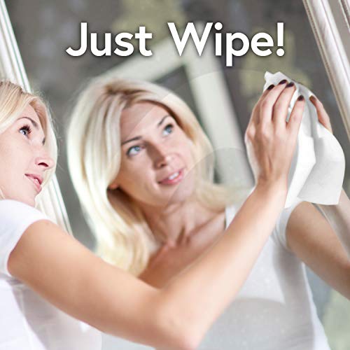 Windex Wipes Glass Cleaning, Pre-Moistened Glass and Surface Wipes to Clean Home Surfaces, Household Essentials, Original Scent, 38 Count (Pack of 1) - size: 38 Count (Pack of 1)