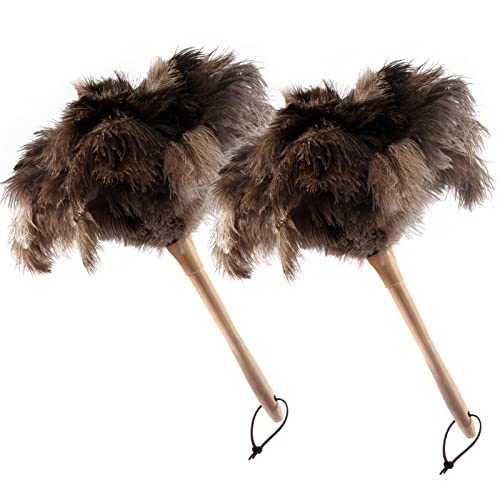 THARAHT 2PCS Ostrich Feather Duster 16 Inch Fluffy Natural with Wood Handle Reusable Washable for Cleaning Keyboard,Home,Car,Office Ostrich Feather Duster - color: Model (A)-2pcs, size: 16inch