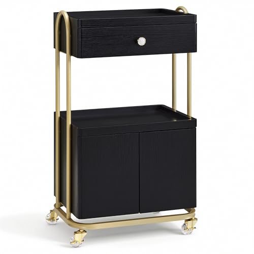 BarberPub Salon Trolley with Universal Wheels, Storage Rolling Cart with Drawer, Barber Shop Tool Organizer for Hair Stylist, SPA Metal Trolley for Storing Skin Cosmetics 2074 (White) (Black) - color: Black