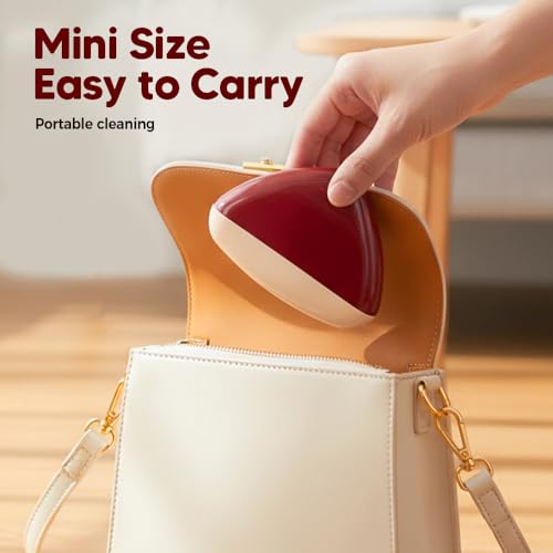 Portable Sticky Lint Roller, Reusable Washable Lints Rollers for Pet Hair Extra Sticky, Lints Remover for Clothes, Travel, Fur, Hair, Dust, Thread & Pet Hair (6 PCS) - color: 6 Pcs