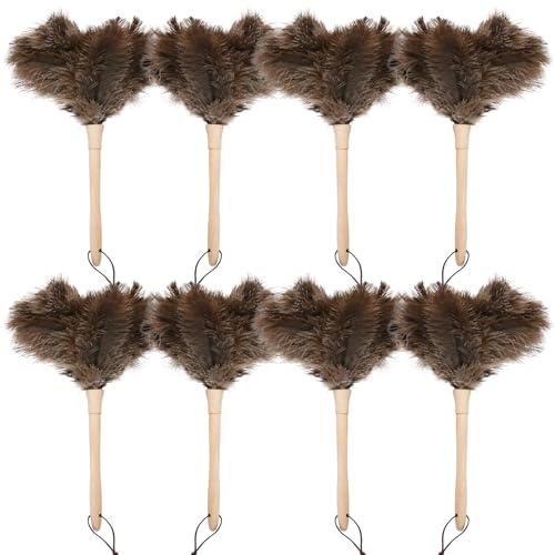 Ostrich Duster Fluffy Natural Feather Dusters with Wooden Handle Cleaning Supplies for Home Office Car (8, 16inch) - color: Natural-c-8pcs