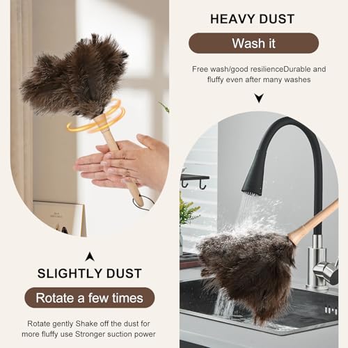 Ostrich Duster Fluffy Natural Feather Dusters with Wooden Handle Cleaning Supplies for Home Office Car (2, 16inch) - color: Natural-c-2pcs