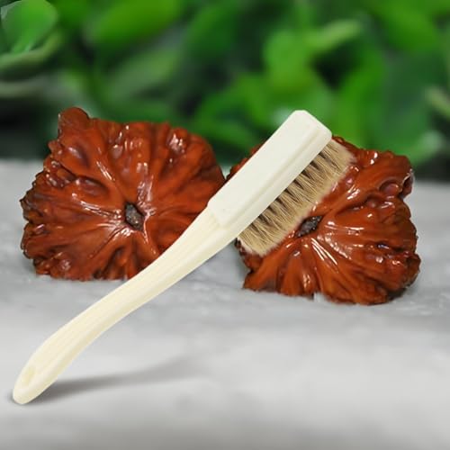 Cabilock 6pcs Small Hard Bristle Cleaning Brushes Crevice Scrubber Gap Brush for Household Kitchen Bathroom Window Vehicle Cleaning