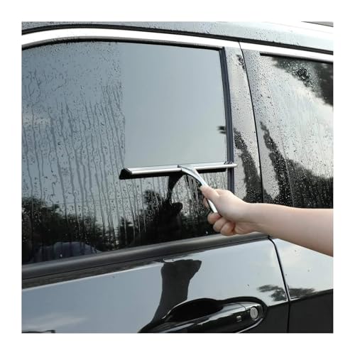 All Purpose Shower Squeegee for Doors Bathroom Window and Car Glass-Stainless Steel 10 Inches Cleaning