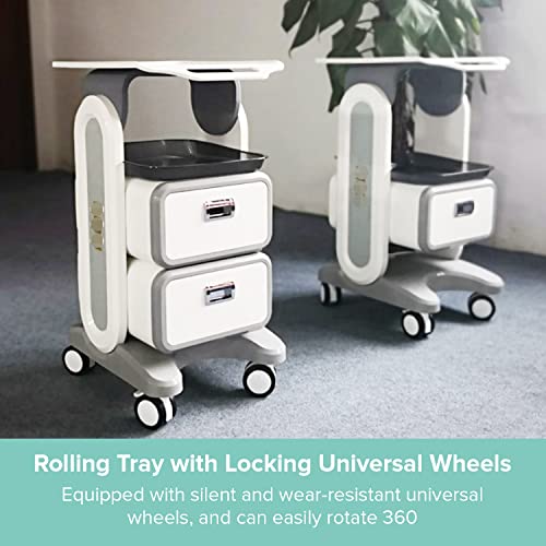 Professional Utility Cart with Wheels - Rolling Dental Office Cart with Drawers - Medical Trolley for Cavitation Machine, Esthetician Supplies, Lab Tools - Salon Trolley - size: 130LB Load / 2 Drawer