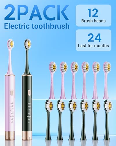 Aneebart Sonic 2 Pack Electric Toothbrush for Adults and Kids, Travel Toothbrush Includes 12 Replacement Toothbrush Heads, 6 Modes with 2 MIN Smart Timer - color: Green+purple