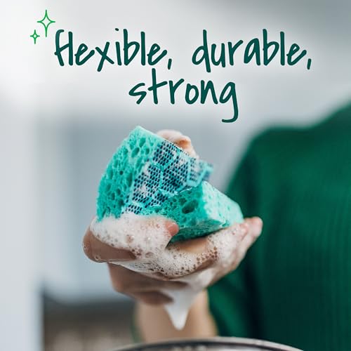 Scotch-Brite Odor Resist Heavy Duty Scrub Sponge, Dishwasher-Safe Kitchen sponges for Serious Scrubbing, Multipurpose Dish Sponge for Stuck-On Messes, 3 Scrubbing Sponges (Pack of 8) - size: 3 Scrub Sponges (8-Pack)