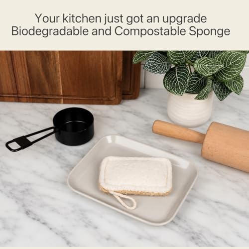 Purle Natural Kitchen Sponges, Eco-Friendly, Compostable Dish Sponges, Loofah & Cellulose Scrubbers, Plastic-Free, Zero-Waste, Biodegradable, Durable, Non-Scratch, Pack of 3