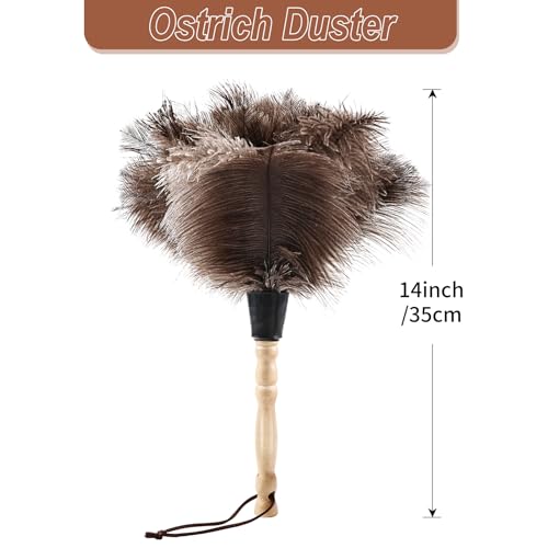 Ostrich Feather Duster 14" Natural Handheld Reusable Feathers Dusters with Wooden Handle for Cleaning Supplies Home Car Office(3PCS) - color: Natural-14in-stylec-3pcs