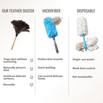 Ostrich Feather Duster with Wooden Handle 14" – Natural Reusable Feather Duster for Cleaning, Furniture & Shelves, Blinds, Ceiling Fan, Dusting Tool for Home, Office, Delicate Surfaces - 2 Pack - size: 2 Pack