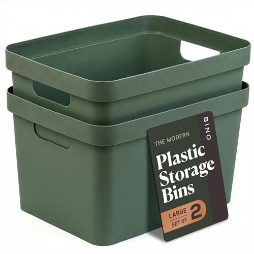 BINO | Plastic Storage Bins, 16 Liter - 2 Pack, Sage | THE MODERN COLLECTION | Plastic Bins for Organization | Woven Storage Baskets for Organizing | Pantry Shelf Organizer Basket Container Bin - color: Sage, size: 16L | 2-Pack