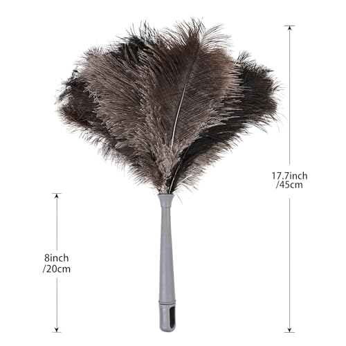 Feather Duster-Genuine Ostrich Feathers,Anti-Static,Reusable Eco-Friendly Handheld Cleaning for Keyboard,Home,Car,Office(17Inch,1Pack) - color: Natural-17in-styled-1pcs
