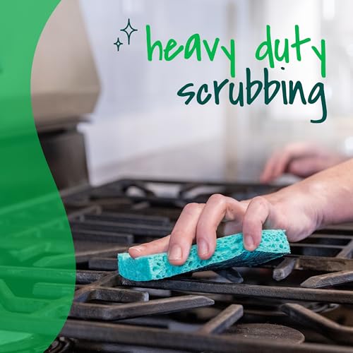 Scotch-Brite Odor Resist Heavy Duty Scrub Sponge, Dishwasher-Safe Kitchen sponges for Serious Scrubbing, Multipurpose Dish Sponge for Stuck-On Messes, 3 Scrubbing Sponges (Pack of 8) - size: 3 Scrub Sponges (8-Pack)