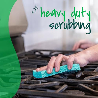 Scotch-Brite Odor Resist Heavy Duty Scrub Sponge, Dishwasher-Safe Kitchen sponges for Serious Scrubbing, Multipurpose Dish Sponge for Stuck-On Messes, 3 Scrubbing Sponges (Pack of 8) - size: 3 Scrub Sponges (8-Pack)