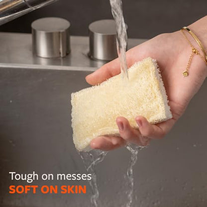 Full Circle 100% Plant-Based Loofah Sponges – Pack of 2 – Plastic-Free, Natural Sponge, No Microplastics, Safe for Nonstick Cookware - size: Loofah Scrubber Sponge 2pk