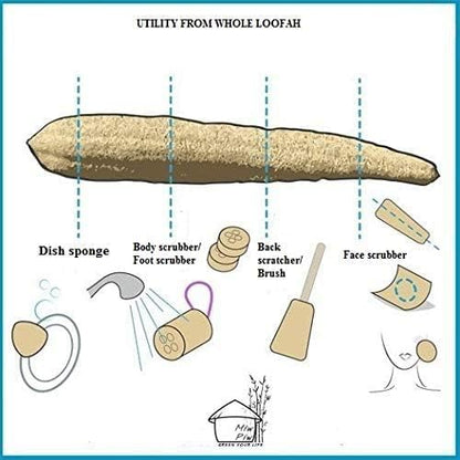 Natural Whole Loofah Sponge (Pack 3) - Exfoliating Body for Bath or Dish Scrubber for Kitchen - 100% Biodegradable Compostable, Dishwashing Scouring Pad, Zero Waste - size: Whole Loofah Pack 3