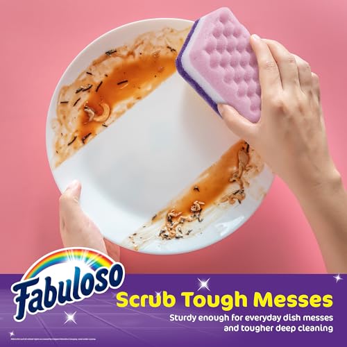 Fabuloso Scratch-Free Kitchen Dish Sponges Purple Cellulose Scrubber Sponge with Scouring Pad Dishes Pots Pans Counters and Sinks Tough on Messes 4.25 x 2.75 x 1.25 in 4 Count Single Pack Value - color: Purple, size: 4 Count (Pack of 1)