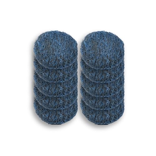 Amazon Basics Steel Wool Soap Pads, Reusable, Cuts Grease and Removes Rust, 10 Count, Pack of 1