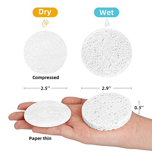 60-Count Compressed Facial Sponges|100% Natural Kickleen Cellulose Cosmetic Spa Sponges for Daily Facial Cleansing|Makeup and Mask Removal | Exfoliating | Skin Massage | Pore Exfoliation(White) - color: White