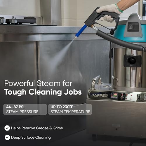 Dapper Supply Commercial Steam Cleaner with Wet/Dry Vacuum, Carpet & Upholstery Extraction, HEPA Filtration, 2 Gal Tank, up to 230°F, for Tile, Grout, Kitchens & Auto Detailing - size: 2.5 Gal
