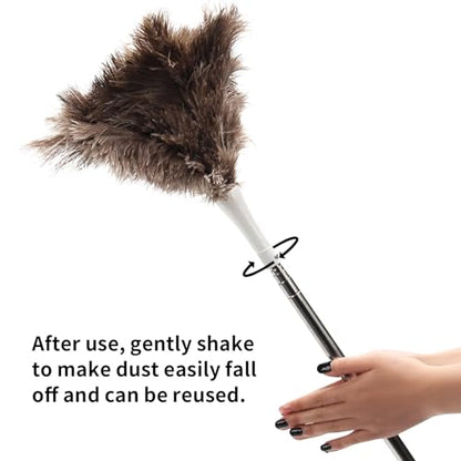 Feather Duster, Ostrich Feather Duster Replacement Head, Reusable Ostrich Feather Duster, Brown (Replacement Head Only) - size: 10"