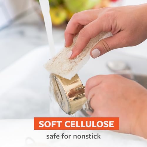 Full Circle Coconut Scrubber Sponges, Pack of 2 – Dual-Sided, Plant-Based Sponges Made with Coconut Shells, Cellulose & Recycled Materials, Safe for Nonstick Cookware - size: Coconut Sponge 2pk