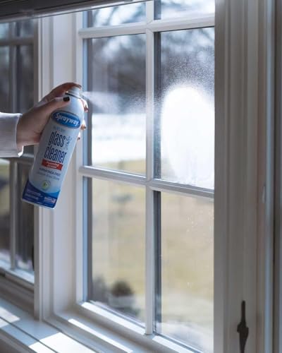 Sprayway Glass Cleaner with Foaming Spray for a Streak-Free Shine for Home and Automotive Use,19 oz.,(Pack of 12) - size: 19 Fl Oz (Pack of 12)