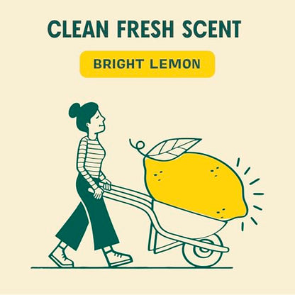 Aunt Fannie's Ultra Concentrated Floor Cleaner Vinegar Wash, Multi-Surface Solution For Mopping, Makes 16 Gallons, Bright Lemon Scent, 32 oz. (Pack of 6) - size: 32 Fl Oz (Pack of 6)