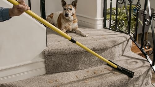 Original Pet Hair Rubber Broom with Squeegee, with 58" Telescopic Handle for Carpet, Tile and Hardwood