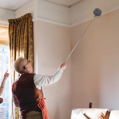 PRETYZOOM Extendable Cobweb Duster with Telescoping Pole and 3 Cleaning Heads Lightweight Spider Web Remover for High Ceilings and Outdoor Use Adjustable Length up to 94.5 Inches