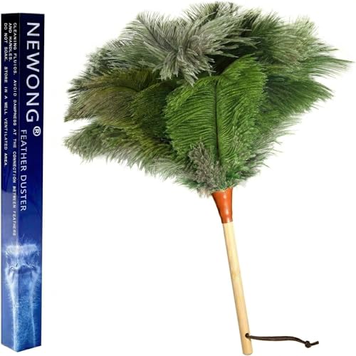 16inch Natural Good Ostrich Feather Duster with Bamboo Handle, Electrostatic Dust Remove for Ceiling，Fans，Bookshelves, Sofa, Windows, Fit for Home, Office and Cars Duster Green - color: Green